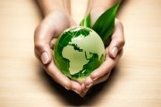Cinco dicas para fazer eventos “verdes”