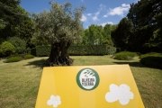 Activação Oliveira da Serra em Serralves