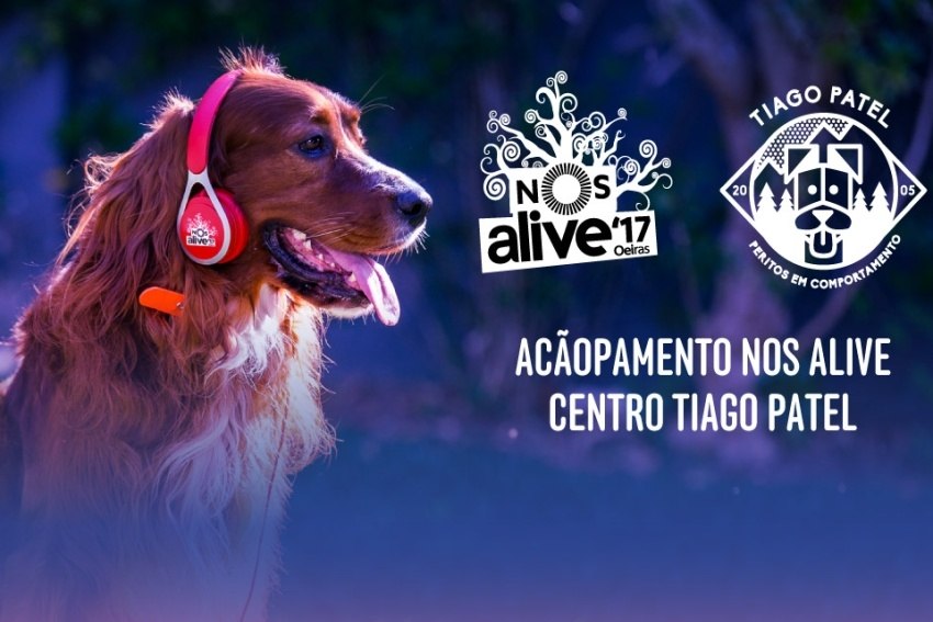 Já vai ser possível levar os “melhores amigos” para o Nos Alive