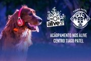 Já vai ser possível levar os “melhores amigos” para o Nos Alive