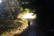 Um dia no Caminho de Santiago