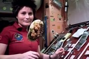 Alimentos na última fronteira