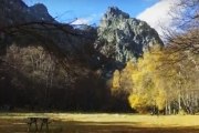 Vídeo da Semana: “Next Stop/Próxima Paragem”