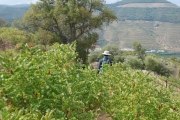 O Douro também é de terra batida