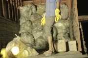 Zero Waste Management: diversão responsável na Índia
