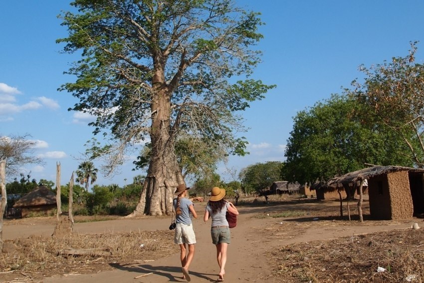 Gorongosa abre portas ao sector MICE