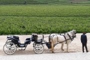 Mais enoturismo na Quinta do Gradil