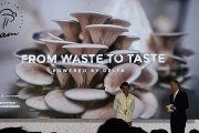 Café no futuro sustentável