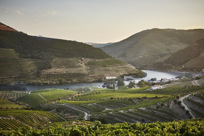 Dois espaços vinícolas portugueses entre os melhores do mundo