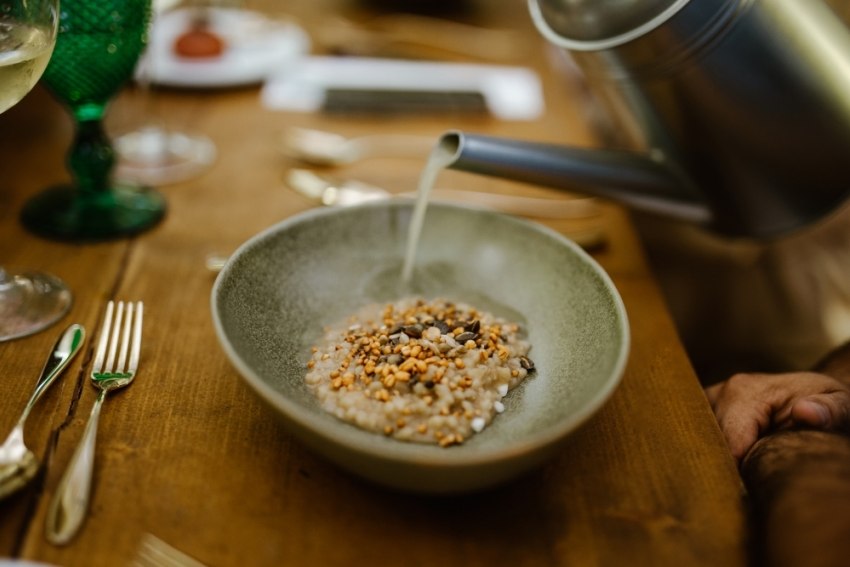 Momentum - Da floresta ao prato: Explorar os limites do catering