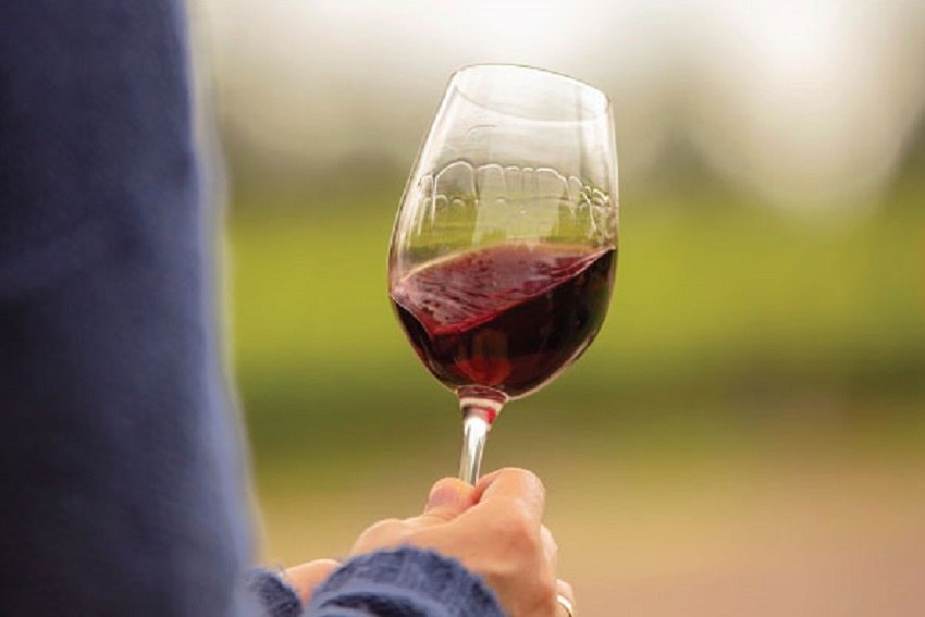 Experiência híbrida pelas rotas do vinho na Argentina
