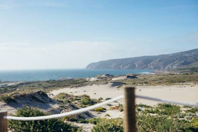 Cascais For Tomorrow: medir e compensar o impacto ambiental de viagens e eventos
