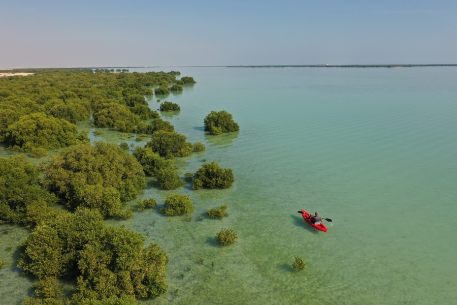 Kayaking amid the Al Thakira Mangroves - Courtesy of Qatar Tourism