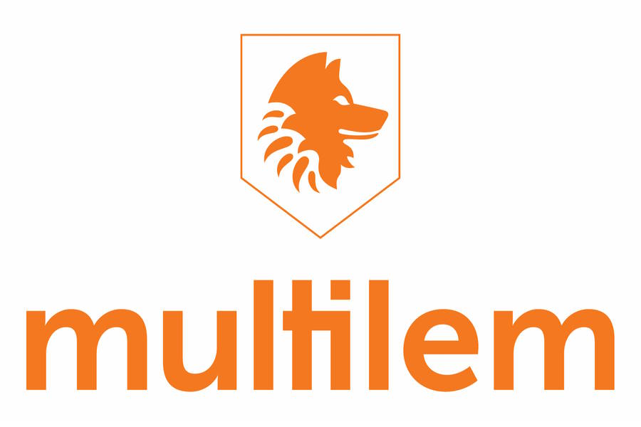 A Multilem quer contratar um account manager para função a tempo integral