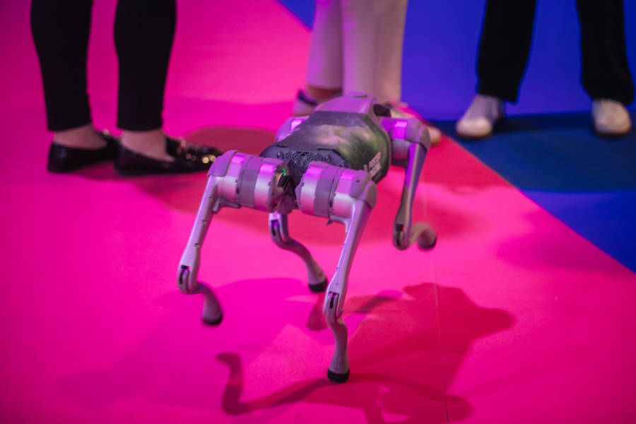 ©João Veiga | Smile Together