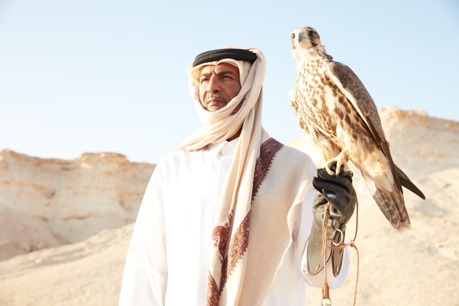 Qatar's Falconry Heritage - Courtesy of Qatar Tourism